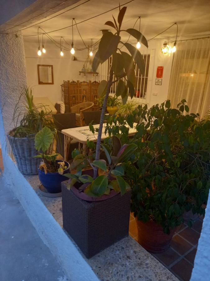 Casa Eline De Lujo Casco Antiguo Altea Piscina Privada Y Jardin Villa Eksteriør billede