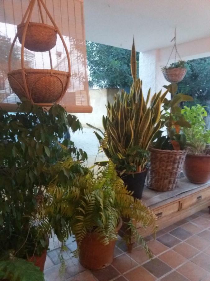 Casa Eline De Lujo Casco Antiguo Altea Piscina Privada Y Jardin Villa Eksteriør billede